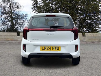 Used Kia Picanto 2024 for sale - 77397544: Photo