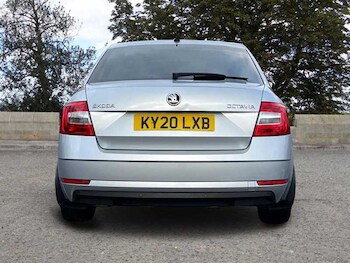 Used Skoda Octavia 2020 for sale - 76717753: Photo