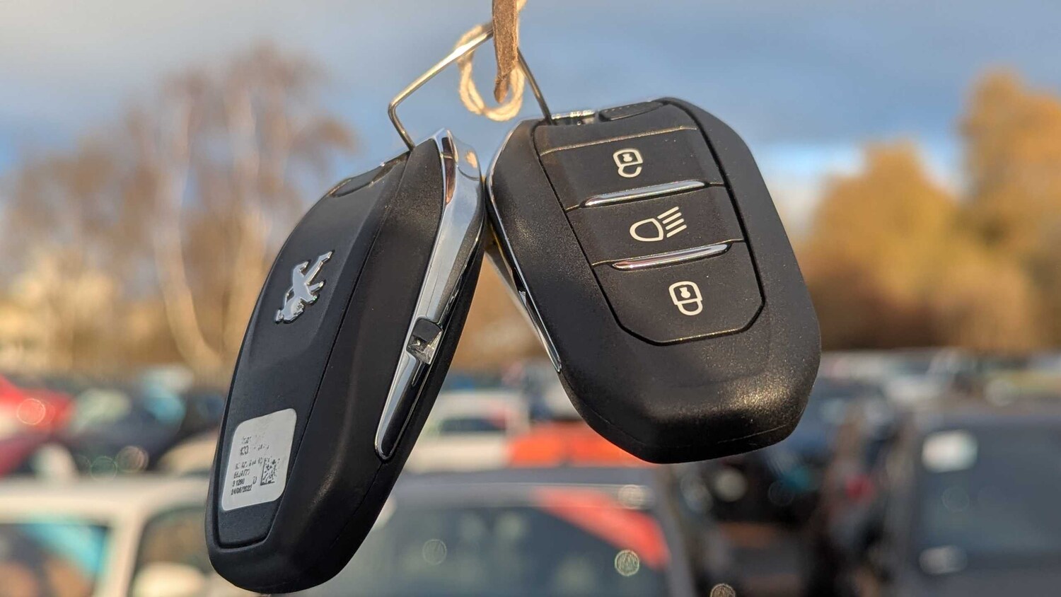 Used Peugeot 3008 for sale - 77859920: Photo 20