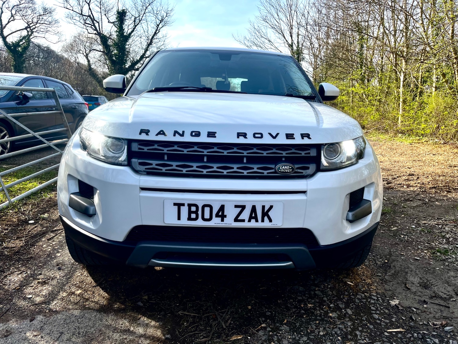 Used Land Rover Range Rover Evoque 2015 for sale - 77938446: Photo 2