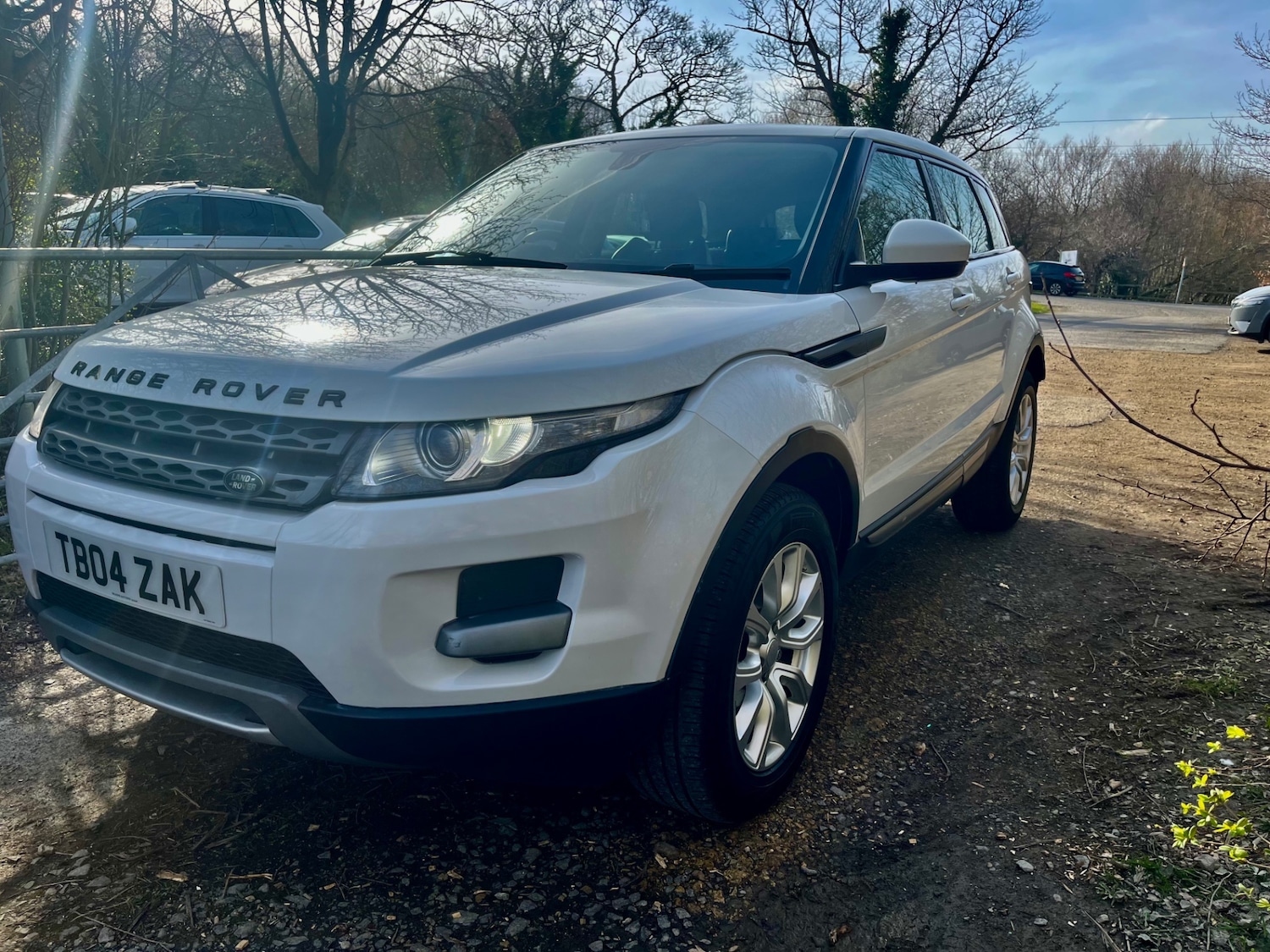 Used Land Rover Range Rover Evoque 2015 for sale - 77938446: Photo 3