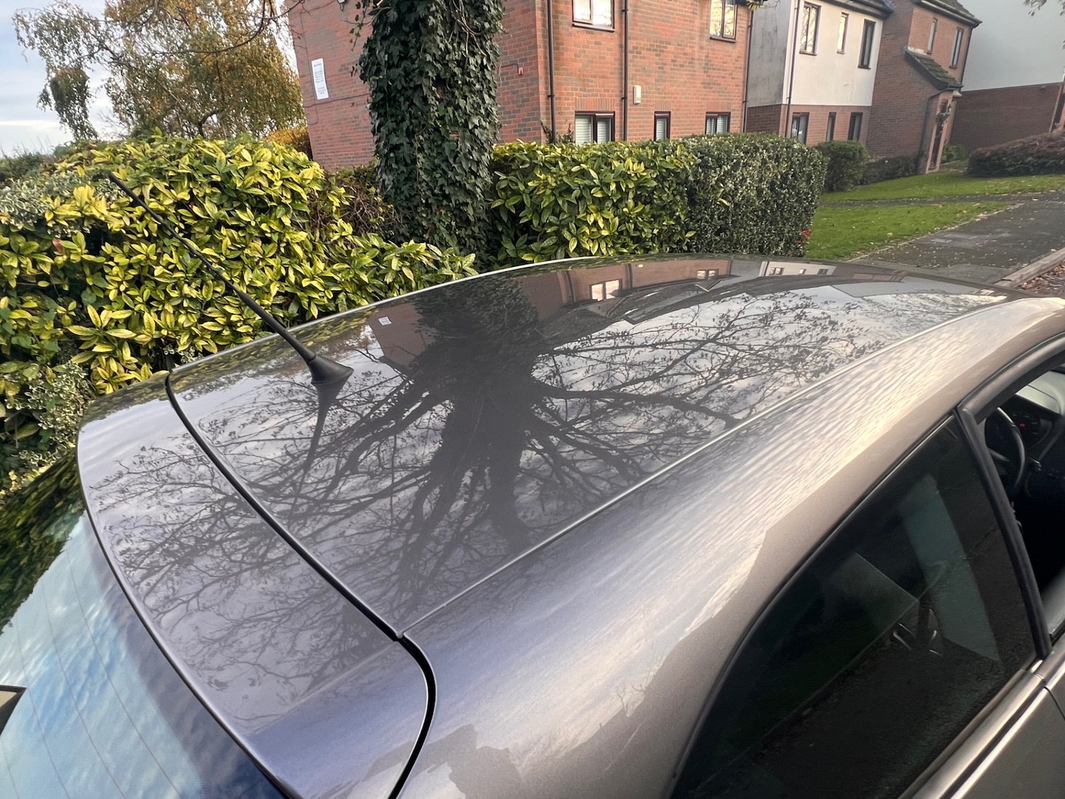 Used SEAT Ibiza 2015 for sale - 76693896: Photo 28