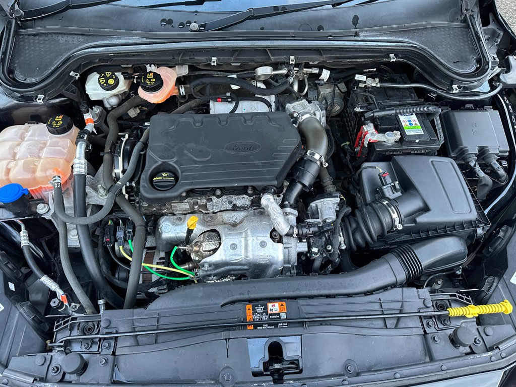 Used Ford Focus 2020 for sale - 77307894: Photo 13