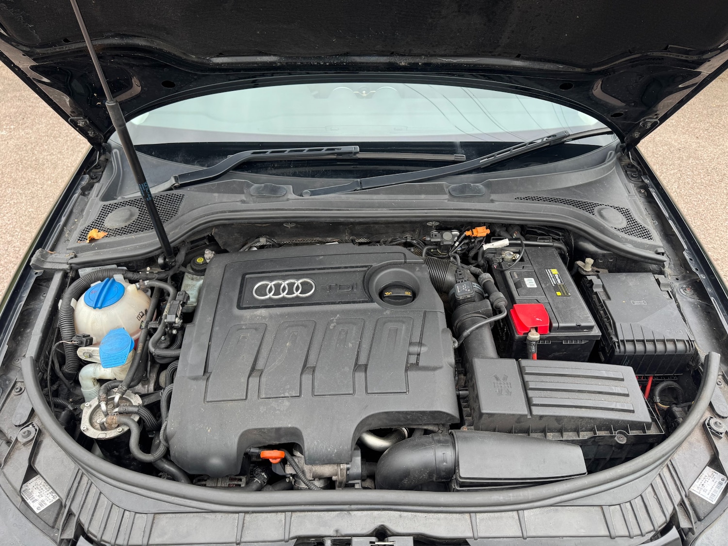 Used Audi A3 2009 for sale - 76233899: Photo 8