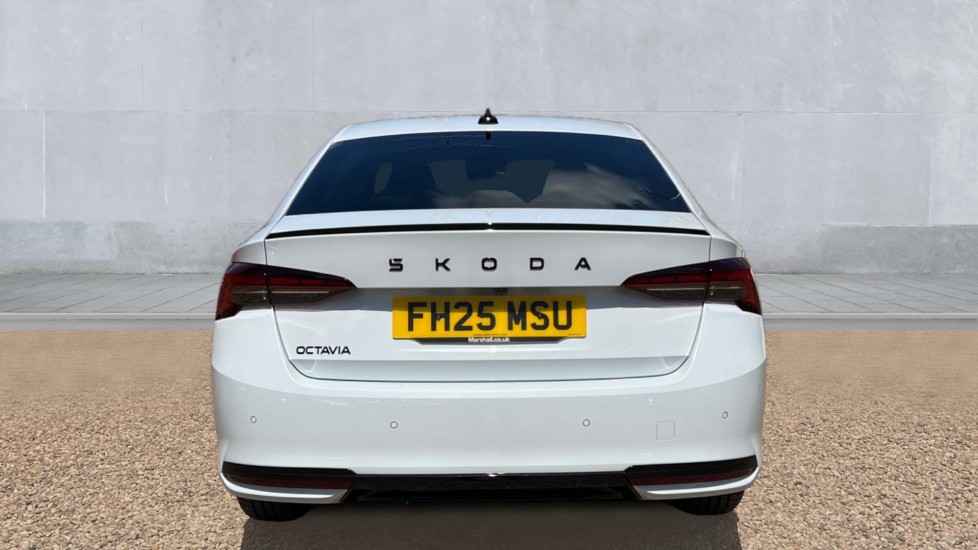 Used Skoda Octavia 2025 for sale - 76519469: Photo 11