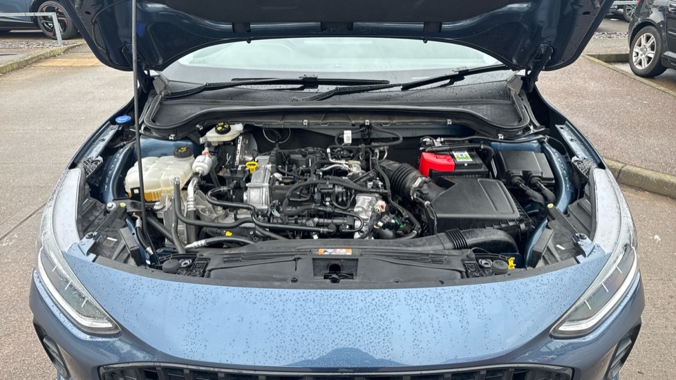 Used Ford Focus 2023 for sale - 76937583: Photo 16