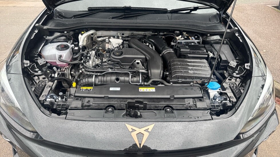 Used Cupra Leon 2025 for sale - 76780106: Photo 17