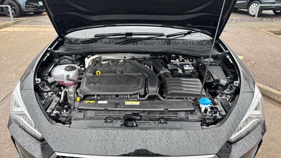 Used Cupra Leon 2024 for sale - 76966651: Photo 17