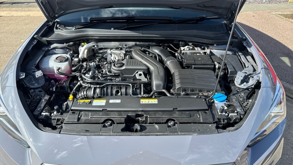 Used SEAT Leon 2025 for sale - 76475174: Photo 17