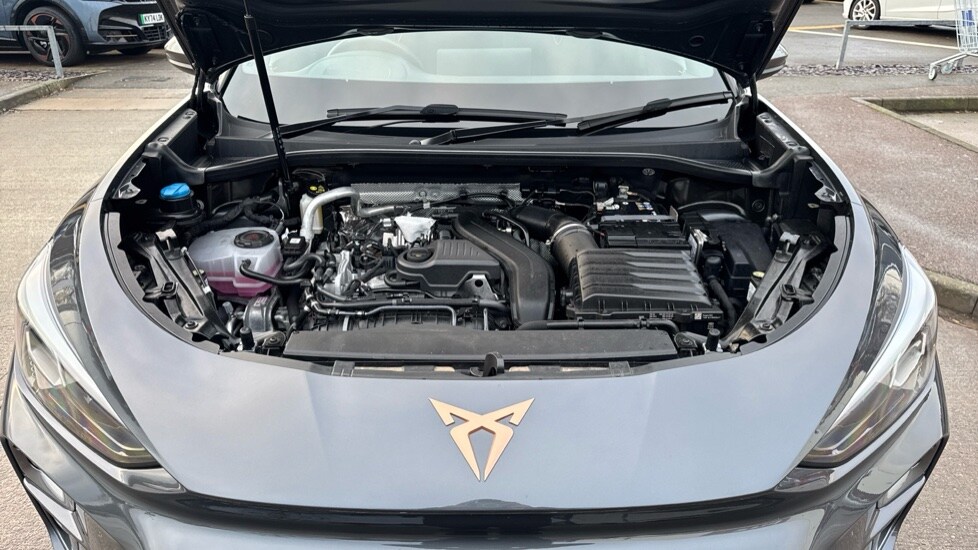 Used Cupra Terramar 2025 for sale - 76881828: Photo 17