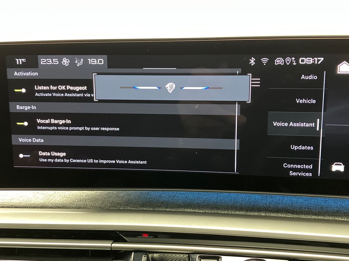 Used Peugeot 3008 2025 for sale - 77180302: Photo 45