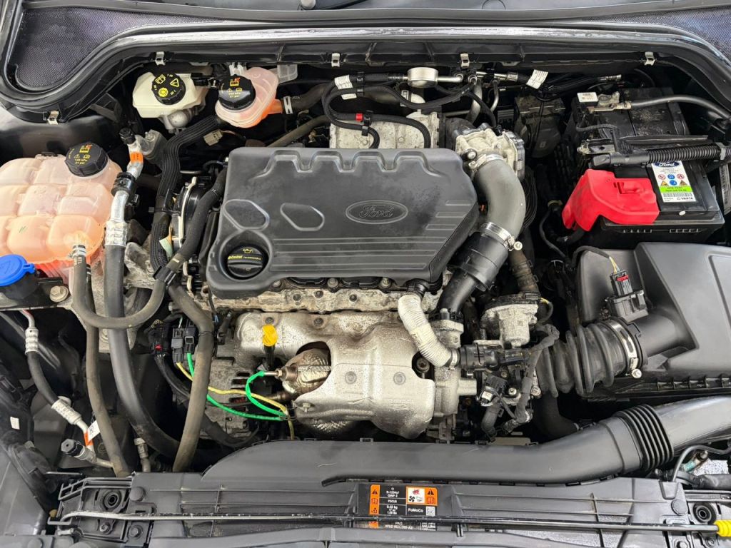 Used Ford Focus 2025 for sale - 77919247: Photo 23