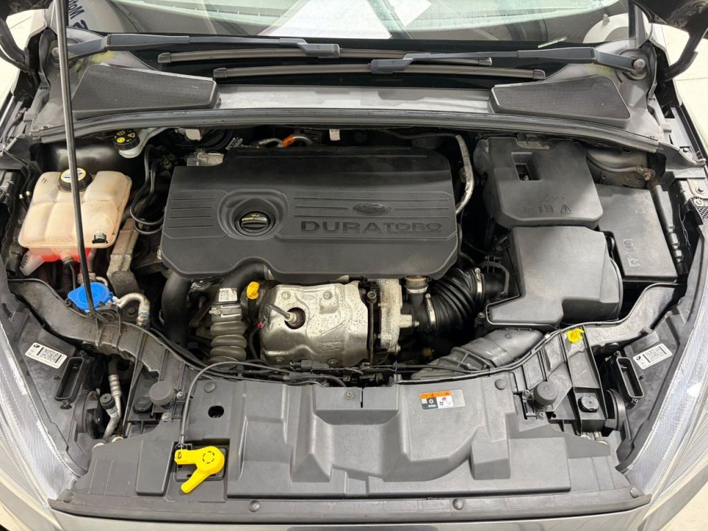 Used Ford Focus 2016 for sale - 77641860: Photo 22