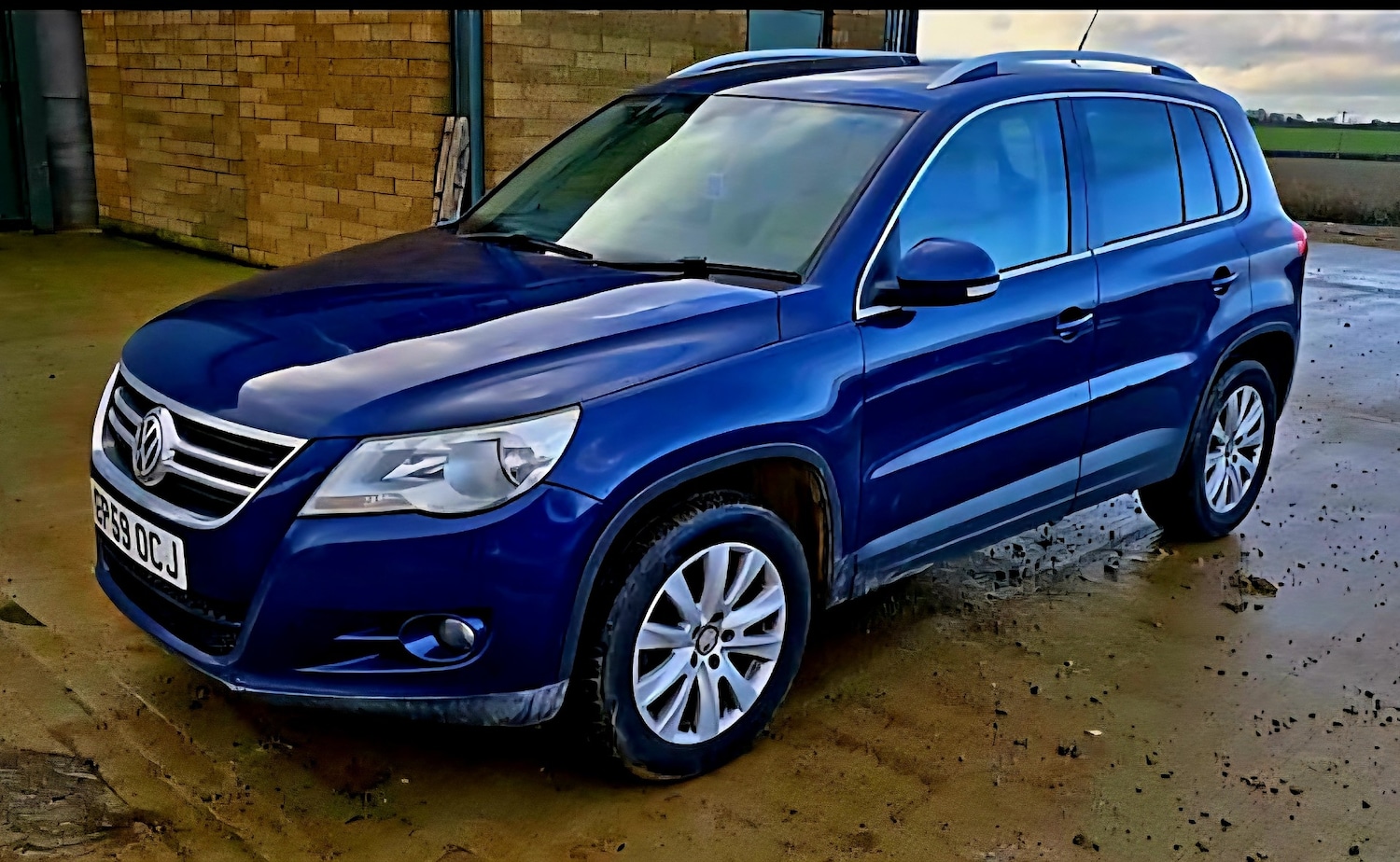 Used Volkswagen Tiguan 2009 for sale - 77983838: Photo 5