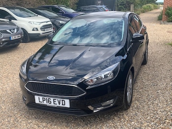 Used Ford Focus 2016 for sale - 75351191: Photo