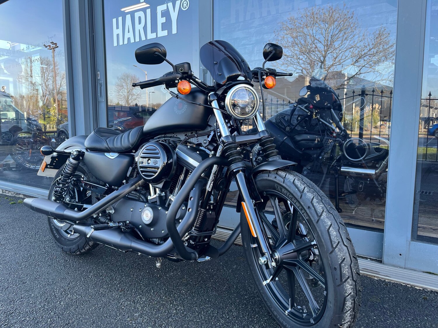 Harley-Davidson SPORTSTER IRON