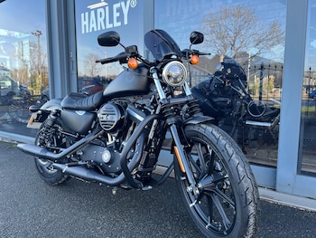 Used Harley-Davidson SPORTSTER IRON 2019 for sale - bike-77357505: Photo