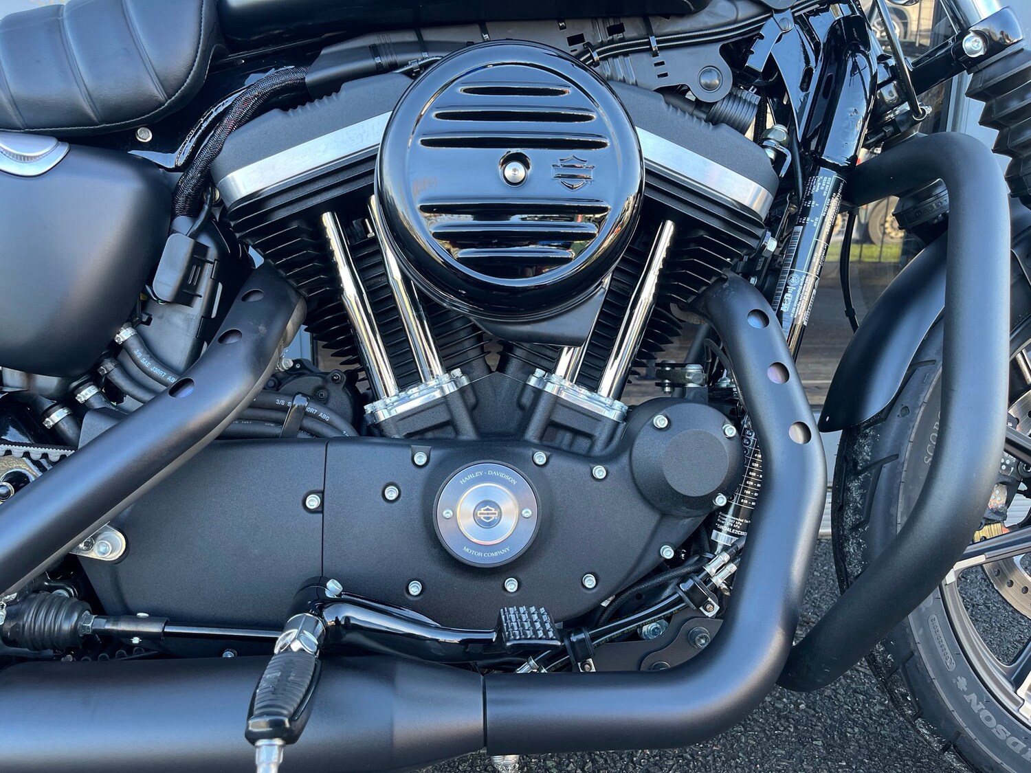 Harley-Davidson SPORTSTER IRON