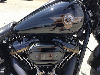 Used Harley-Davidson FAT BOY ANNIVERSARY 2020 for sale - bike-74988005: Photo