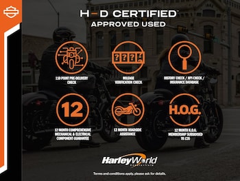 Used Harley-Davidson TOURING ELECTRA GLIDE 2025 for sale - bike-78155612: Photo