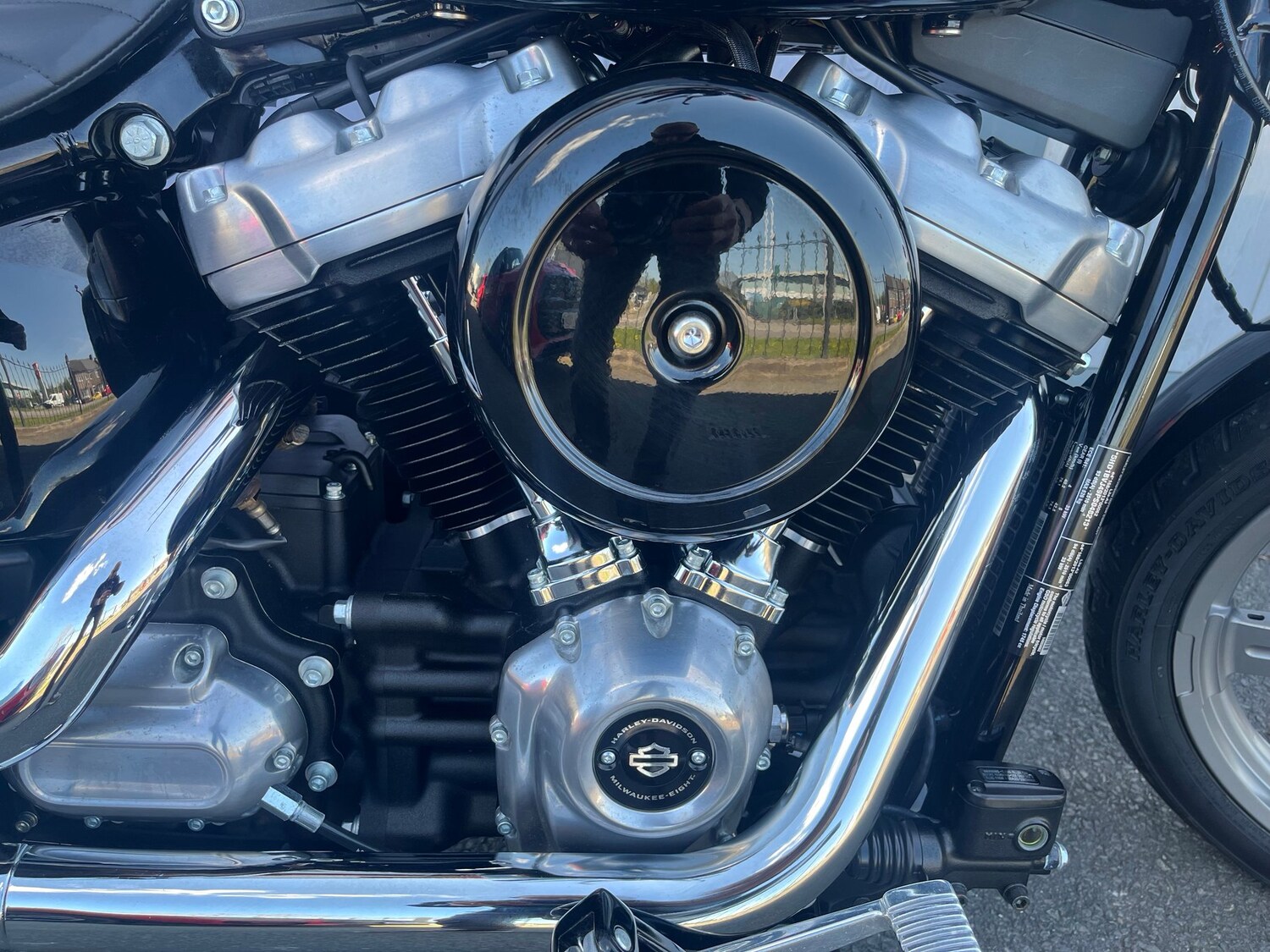 Used Harley-Davidson SOFTAIL STANDARD 2024 for sale - 78475069: Photo 13