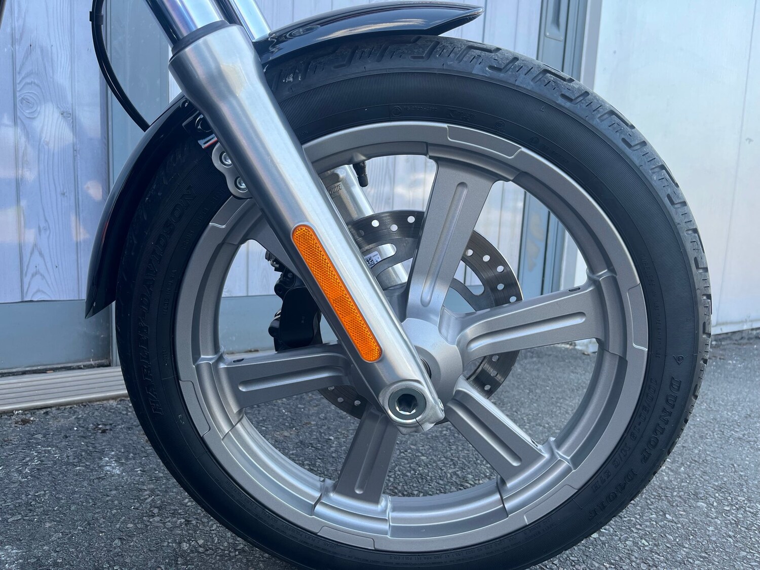 Used Harley-Davidson SOFTAIL STANDARD 2024 for sale - 78475069: Photo 15