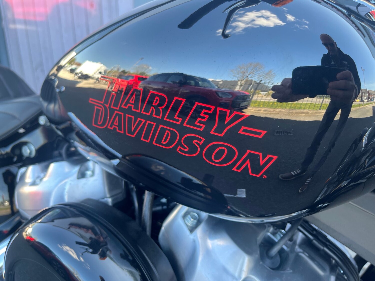 Used Harley-Davidson SOFTAIL STANDARD 2024 for sale - 78475069: Photo 17
