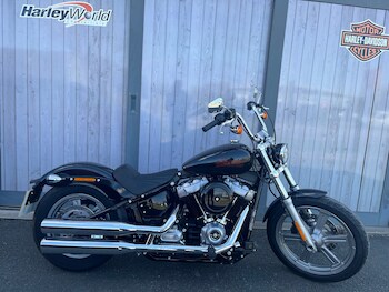 Used Harley-Davidson SOFTAIL STANDARD 2024 for sale - bike-78475069: Photo