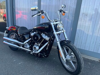 Used Harley-Davidson SOFTAIL STANDARD 2024 for sale - bike-78475069: Photo