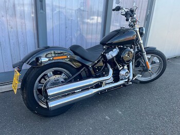 Used Harley-Davidson SOFTAIL STANDARD 2024 for sale - bike-78475069: Photo