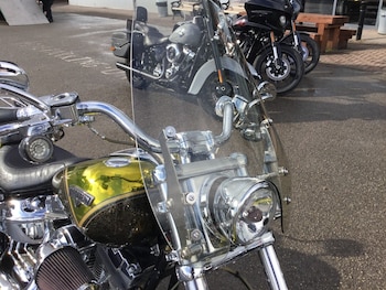 Used Harley-Davidson CVO FXSBE BREAKOUT 2018 for sale - bike-75039448: Photo