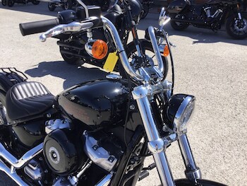 Used Harley-Davidson SOFTAIL FXST STANDARD 2023 for sale - bike-75245128: Photo