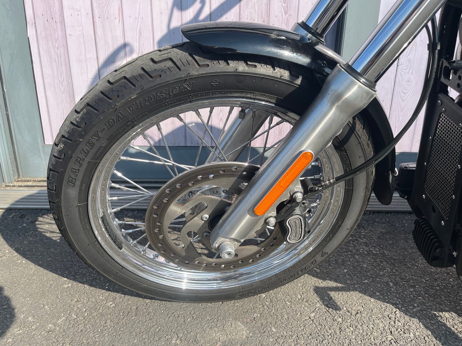 Used Harley-Davidson SOFTAIL STANDARD 2020 for sale - 78808033: Photo 12