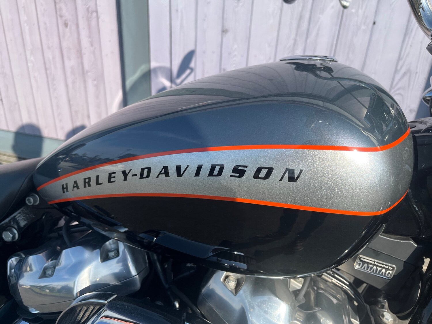 Used Harley-Davidson SOFTAIL STANDARD 2020 for sale - 78808033: Photo 20