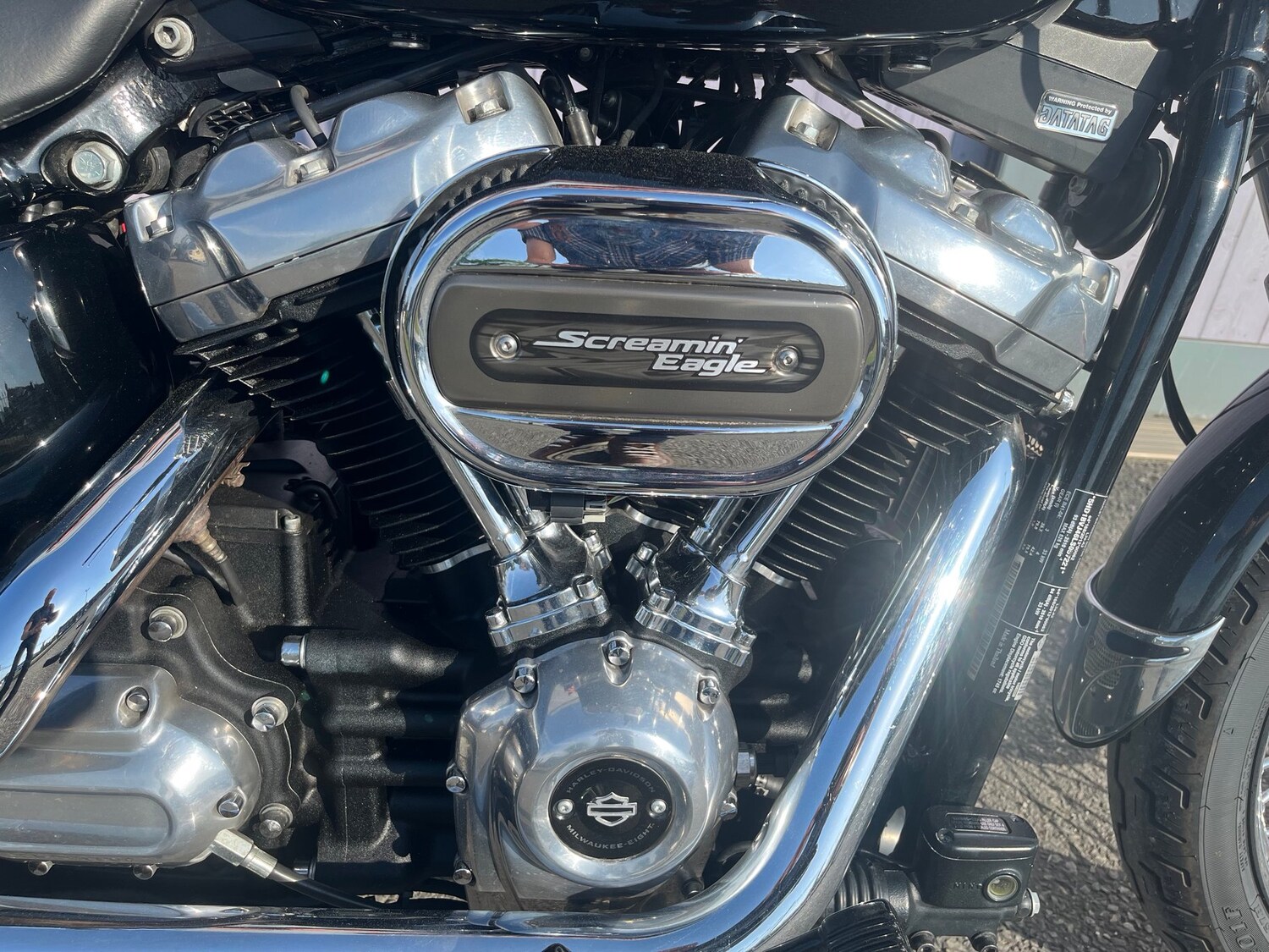 Used Harley-Davidson SOFTAIL STANDARD 2020 for sale - 78808033: Photo 21