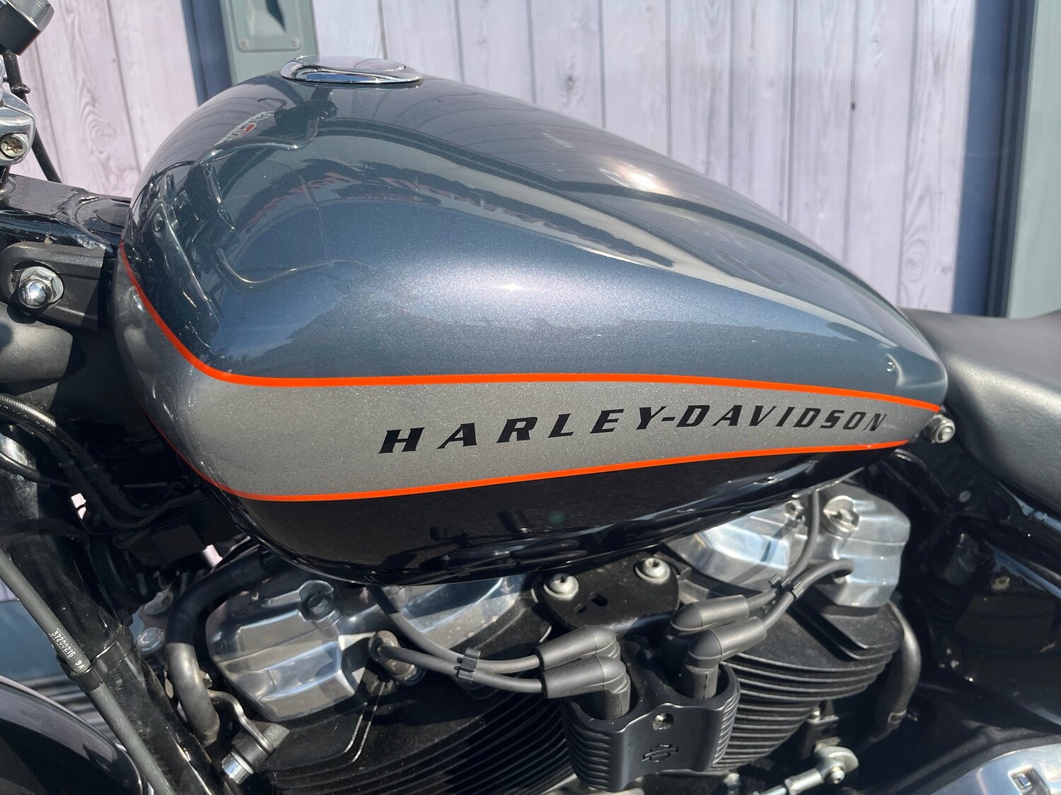 Used Harley-Davidson SOFTAIL STANDARD 2020 for sale - 78808033: Photo 9