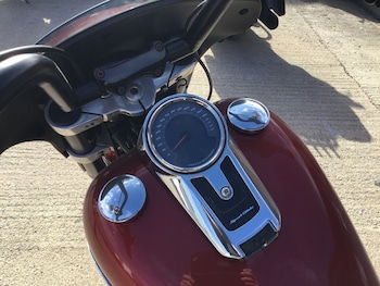 Used Harley-Davidson SOFTAIL FLSB SPORT GILDE 2019 for sale - bike-75779670: Photo