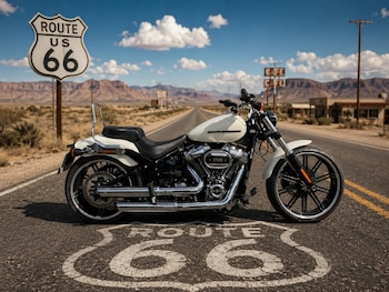 Used Harley-Davidson SOFTAIL BREAKOUT 2019 for sale - bike-78889479: Photo
