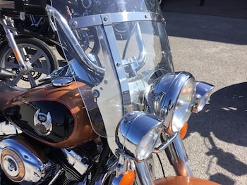 Used Harley-Davidson HERITAGE CLASSIC ANNIVERSARY 2008 for sale - bike-75173498: Photo