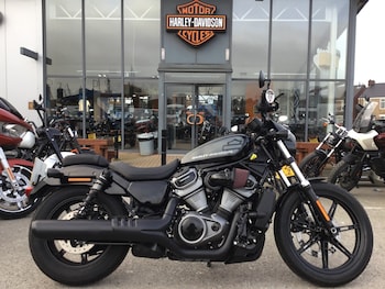 Used Harley-Davidson NIGHTSTER 975 2023 for sale - bike-72712994: Photo