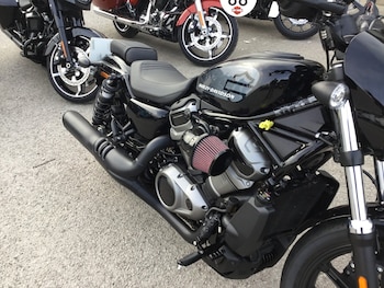 Used Harley-Davidson NIGHTSTER 975 2023 for sale - bike-72712994: Photo