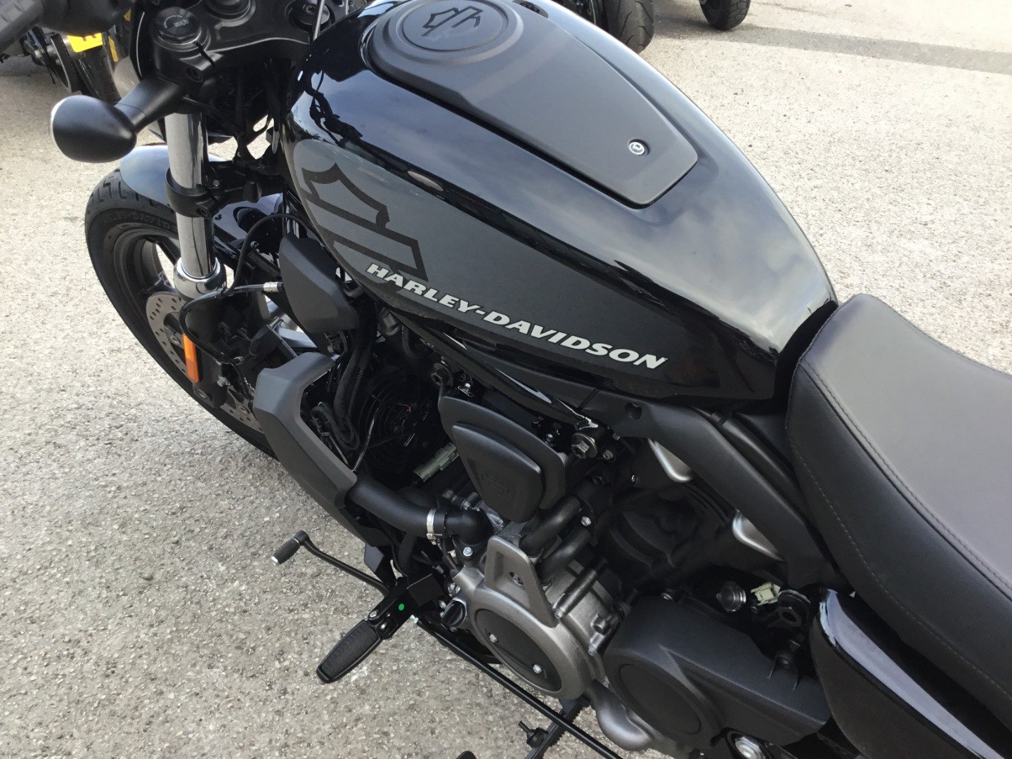 Harley-Davidson NIGHTSTER 975