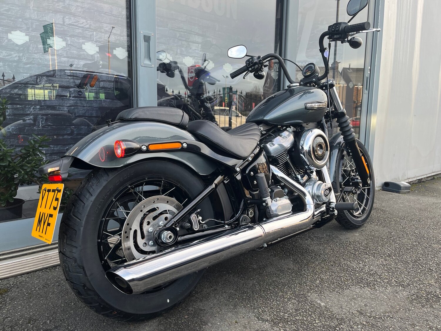 Harley-Davidson SOFTAIL STREET BOB