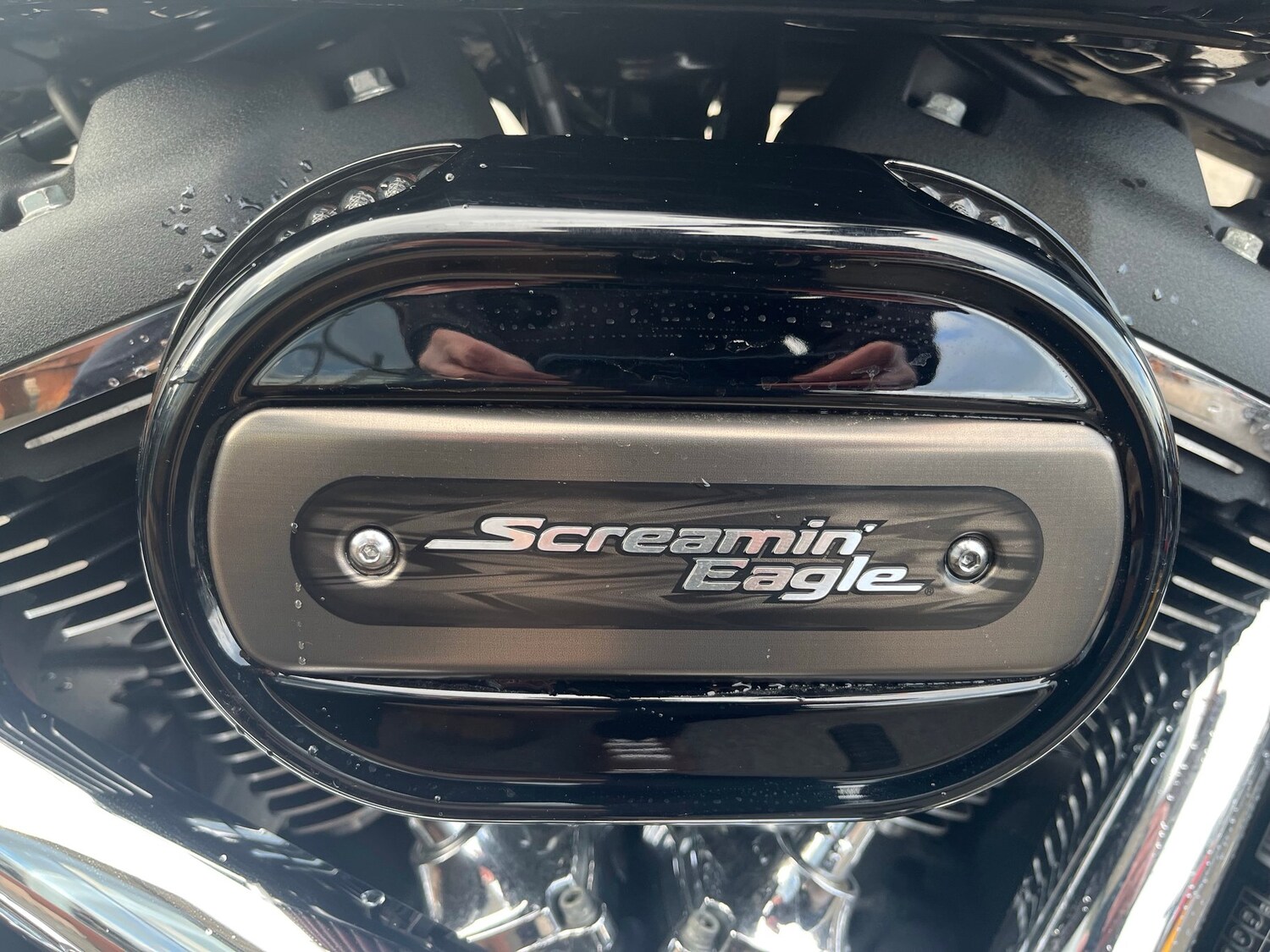 Harley-Davidson SOFTAIL SPORT GLIDE