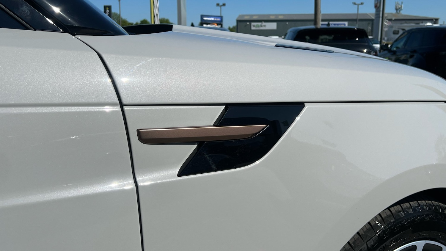 2024 Land Rover Range Rover Sport 3.0 D300 Autobiography 5dr Auto Diesel Estate - Picture 20 of 24