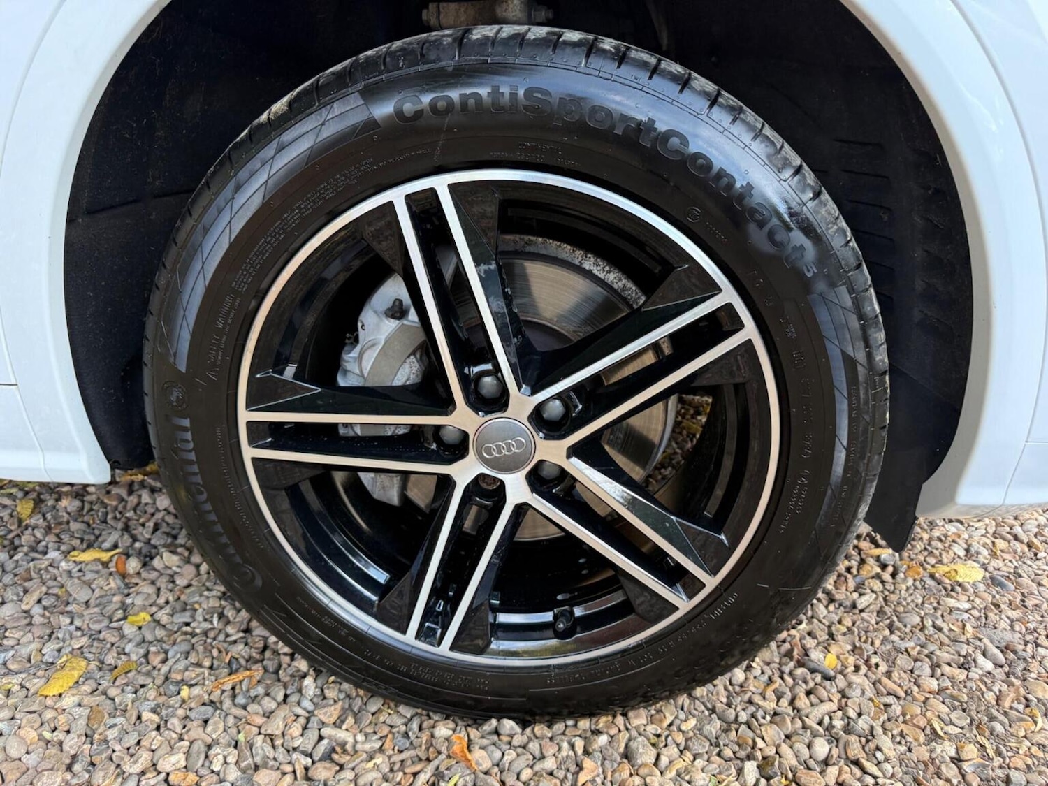 Used Audi Q5 2019 for sale - 76164572: Photo 53