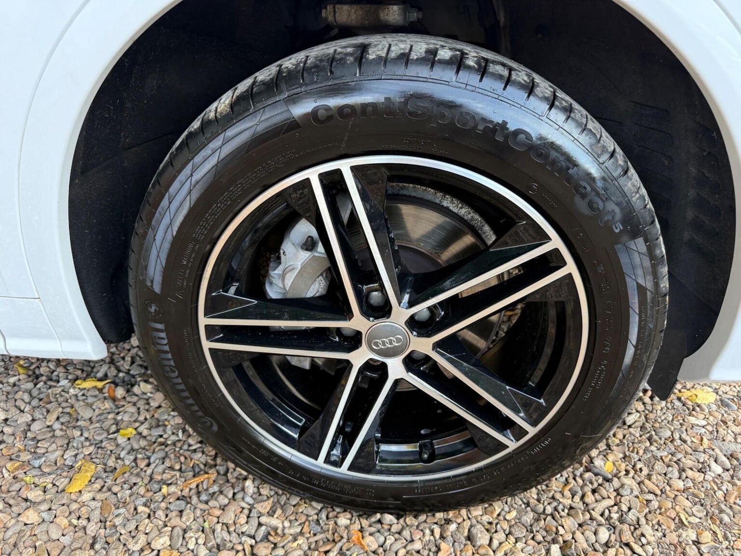 Used Audi Q5 2019 for sale - 76164572: Photo 54