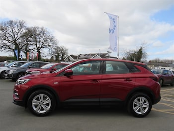 Used Vauxhall Grandland X 2019 for sale - 78483820: Photo