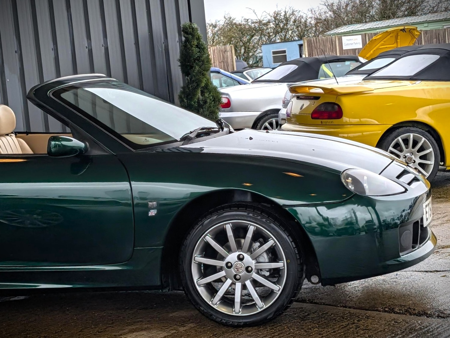 Used MG MGF 2002 for sale - 77541231: Photo 13
