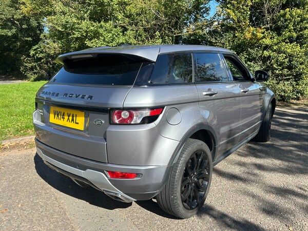 Used Land Rover Range Rover Evoque 2014 for sale - 76037306: Photo 6